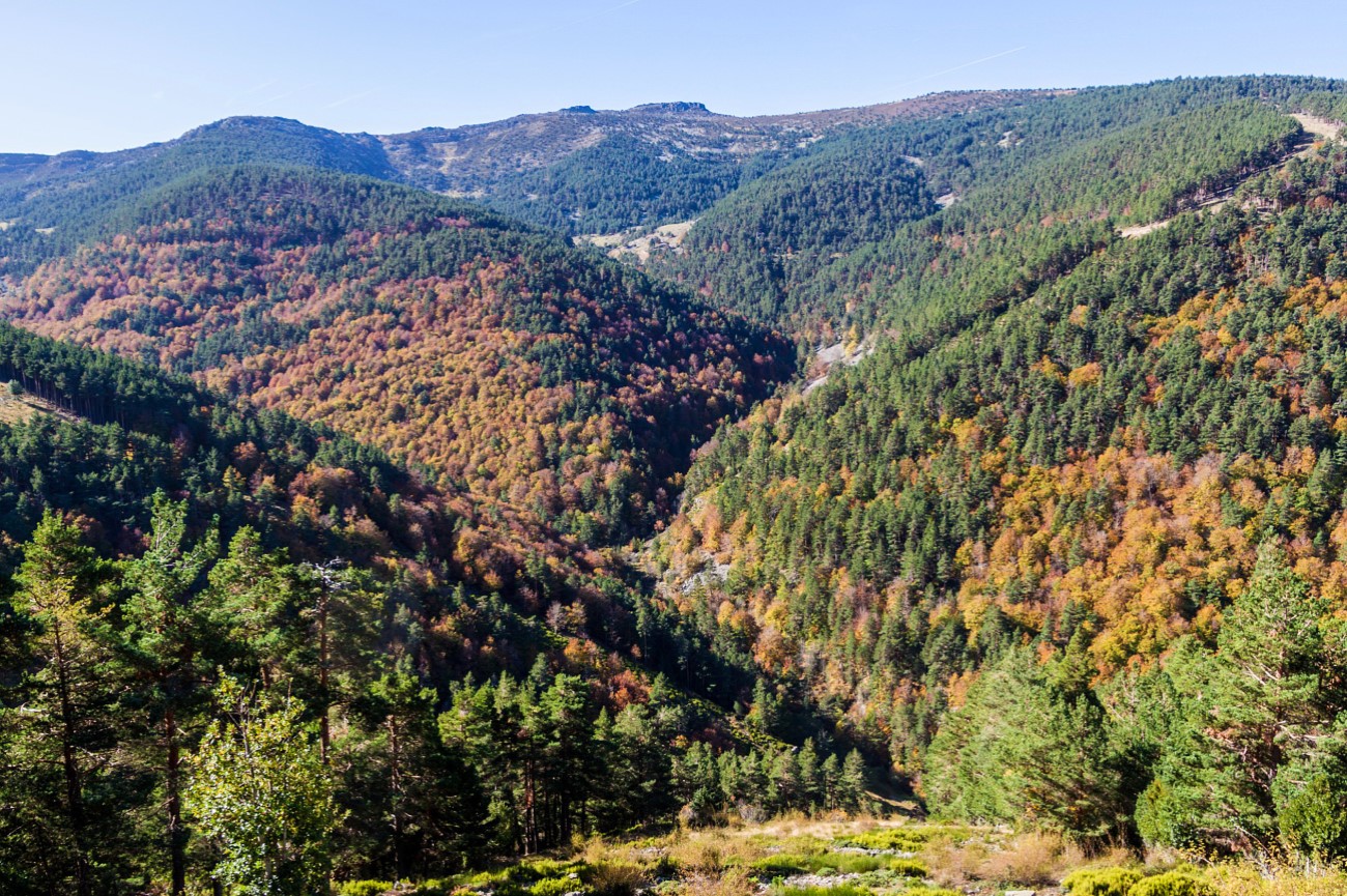 Natural park Sierra de Cebollera, Spain