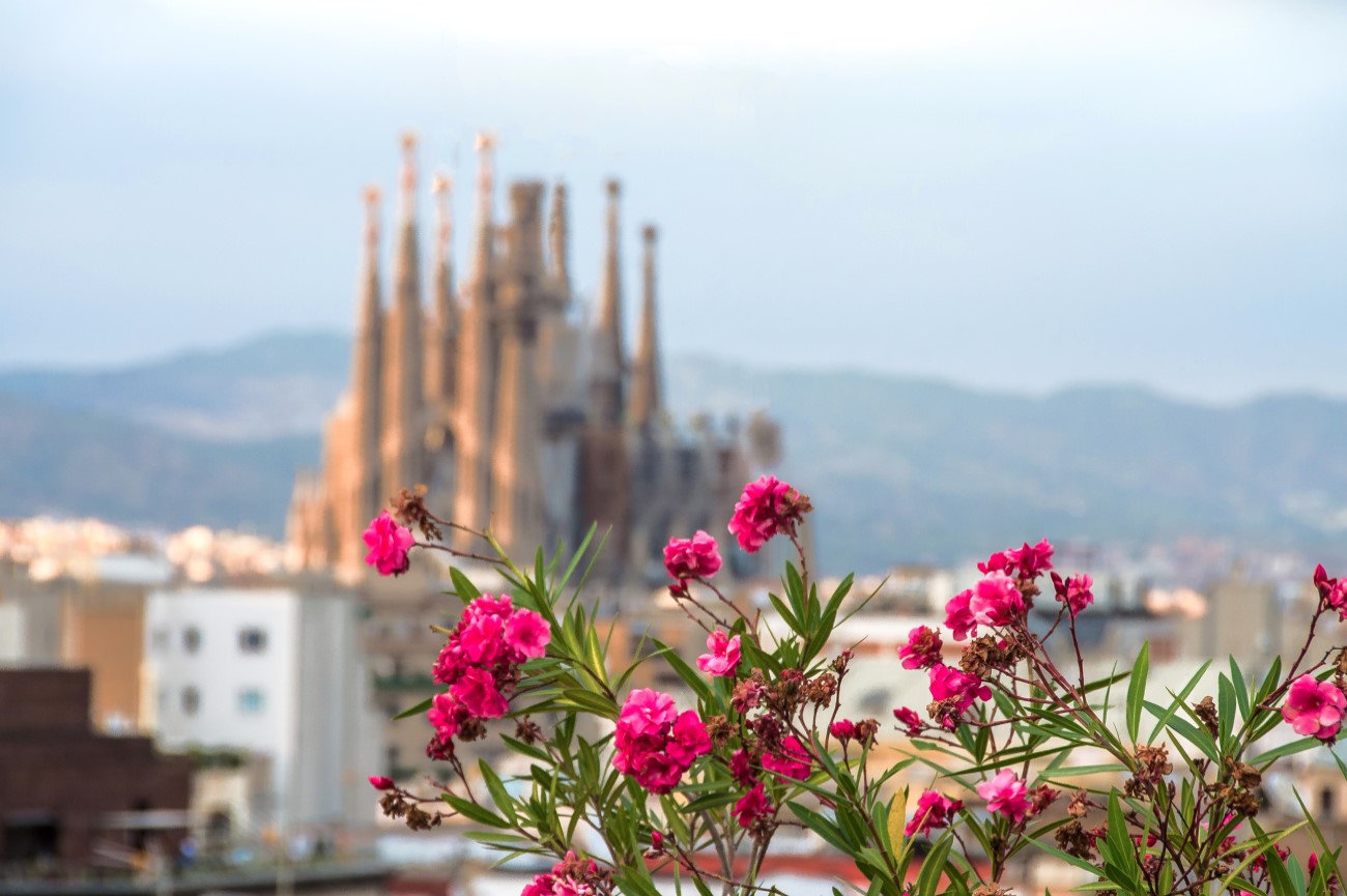 The best time to visit Barcelona is between April and June